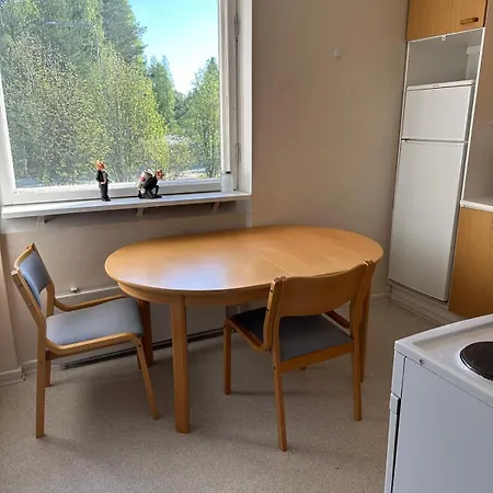 Vehkaojan Kotoisa Apartamento *